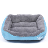 Comfortable winter bes for pets