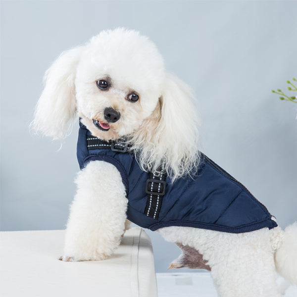 Winter Dog Clothes For Small Dogs