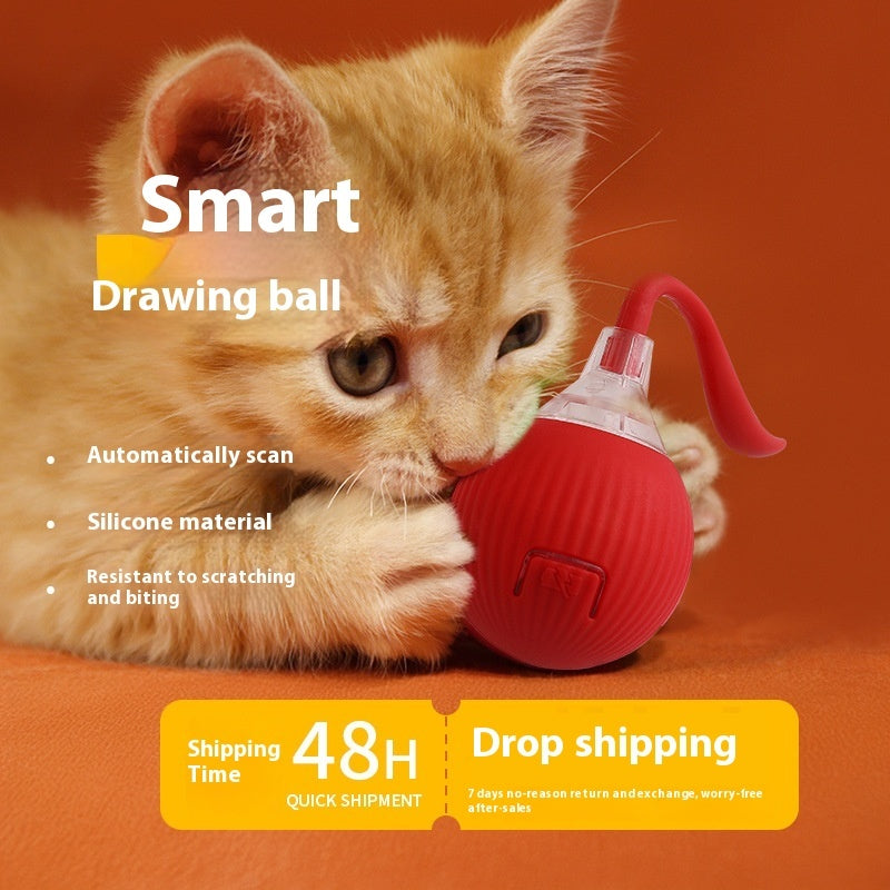 Smartrawing balls for cat